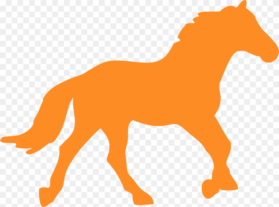 Galloping Horse Silhouette, Animal, Colt Horse, Mammal, Kangaroo Free Transparent Png