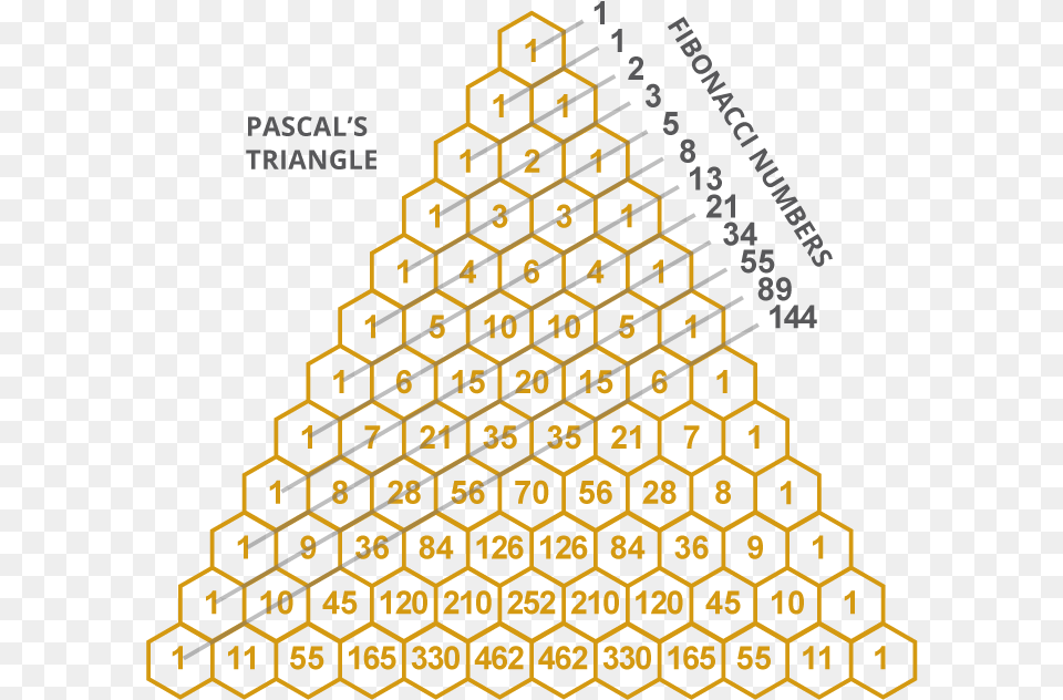 Galton Board Pascal39s Triangle, Food, Honey, Honeycomb Png