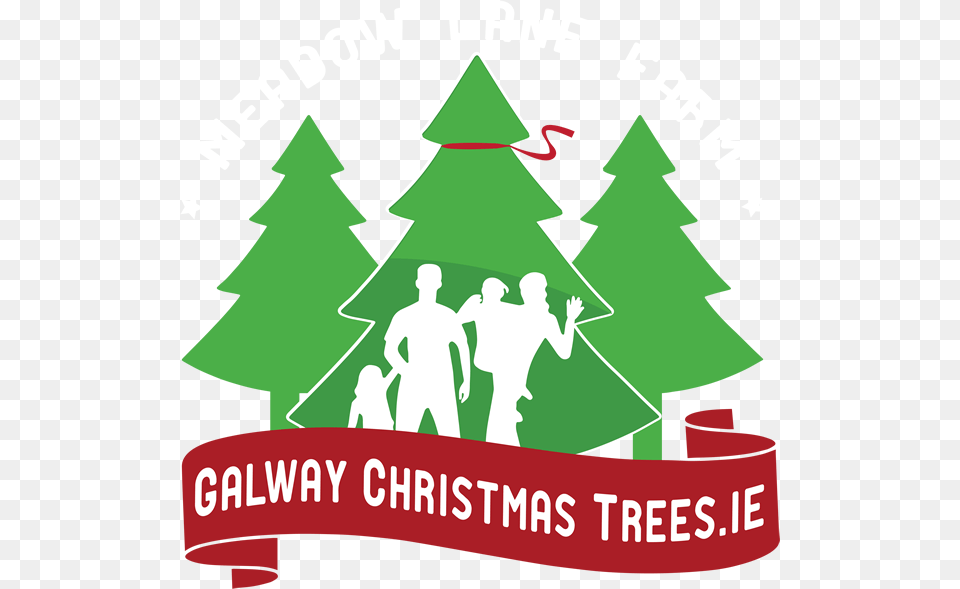 Galway Christmas Trees Making Christmas Cards, Adult, Male, Man, Person Png Image