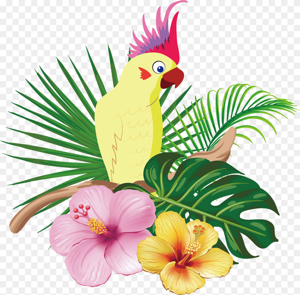 Gambar Bunga Dan Burung Kakatua, Flower, Plant, Animal, Bird Free Png