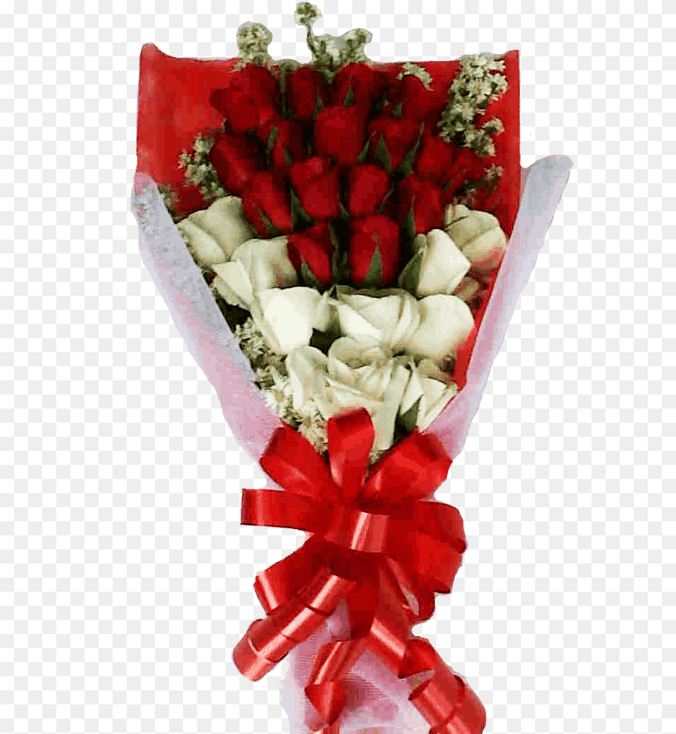 Gambar Bunga Mawar Merah Putih Paling Keren Toko Bunga Di Medan, Flower, Flower Arrangement, Flower Bouquet, Plant Free Png Download