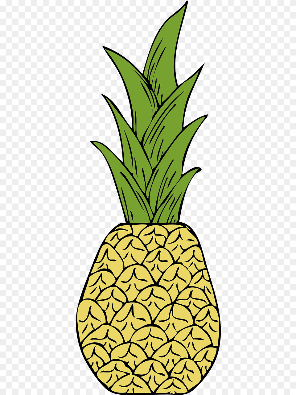Gambar Daun Nenas Lukisan, Food, Fruit, Pineapple, Plant Free Png