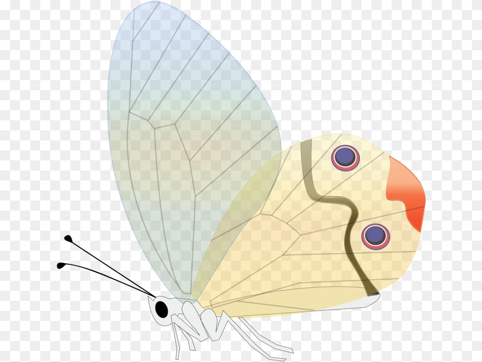 Gambar Kupu Kupu Transparan, Animal, Butterfly, Insect, Invertebrate Png Image