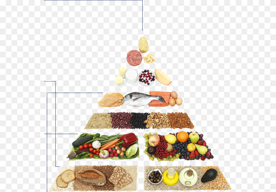 Gambar Makanan Dalam Piramid Makanan, Food, Lunch, Meal, Animal Free Png
