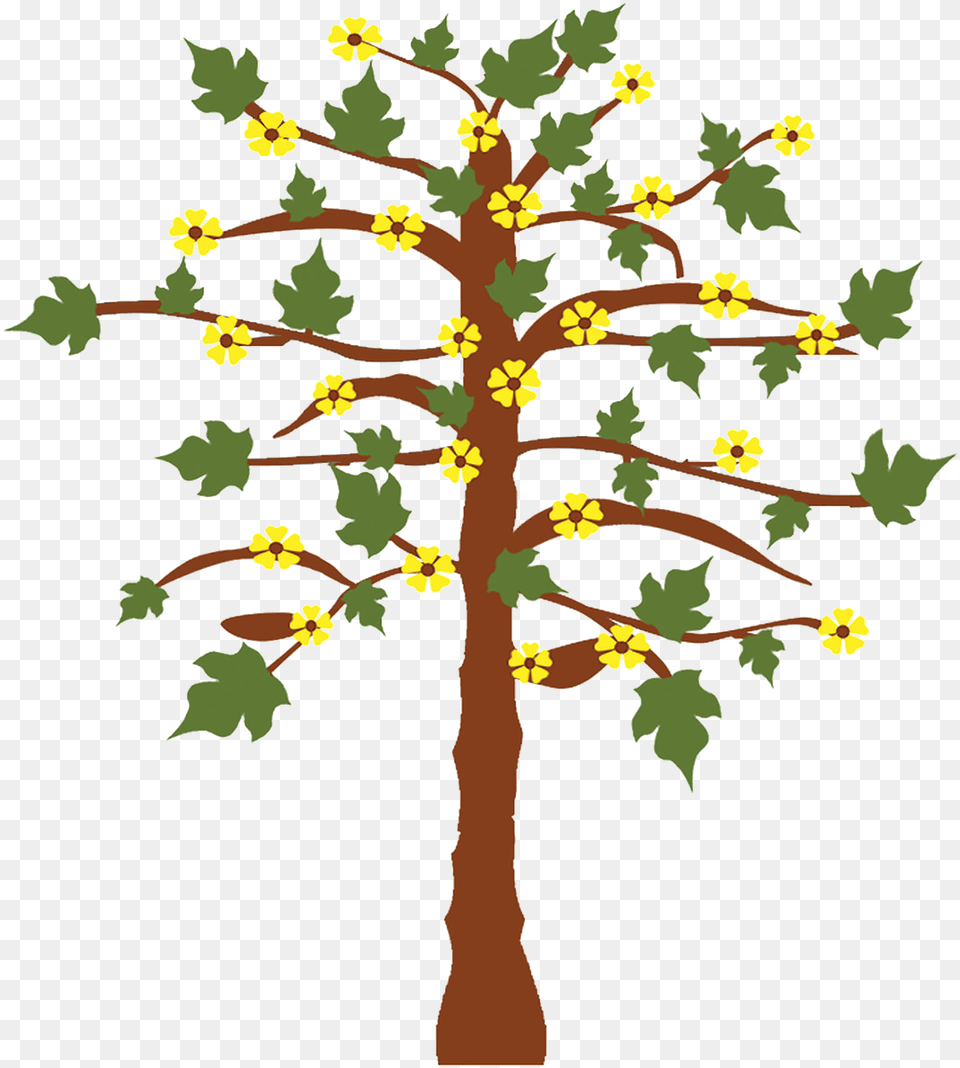 Gambar Pohon Dan Bunga, Tree, Plant, Leaf, Oak Free Png Download