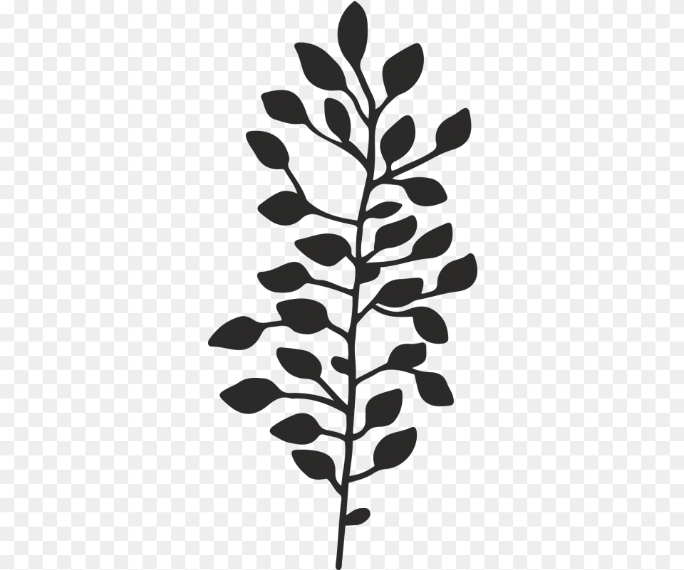 Gambel Oak, Leaf, Plant, Art, Flower Free Transparent Png