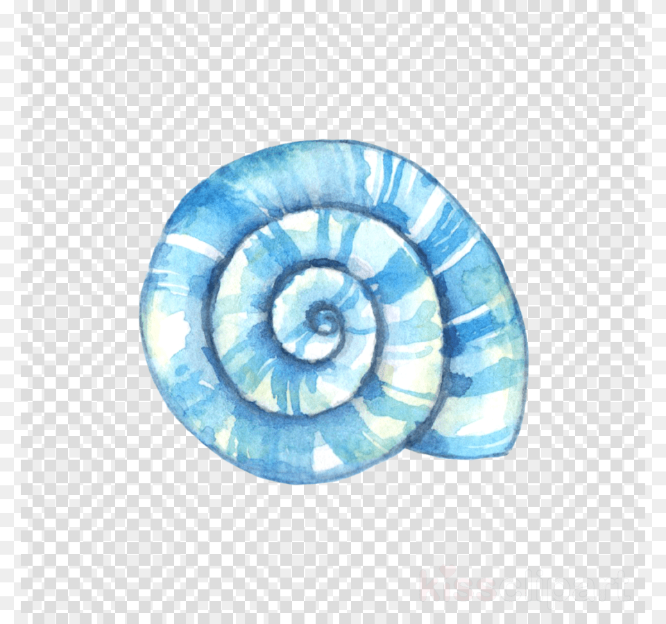 Game Coin, Spiral, Animal, Invertebrate, Sea Life Png