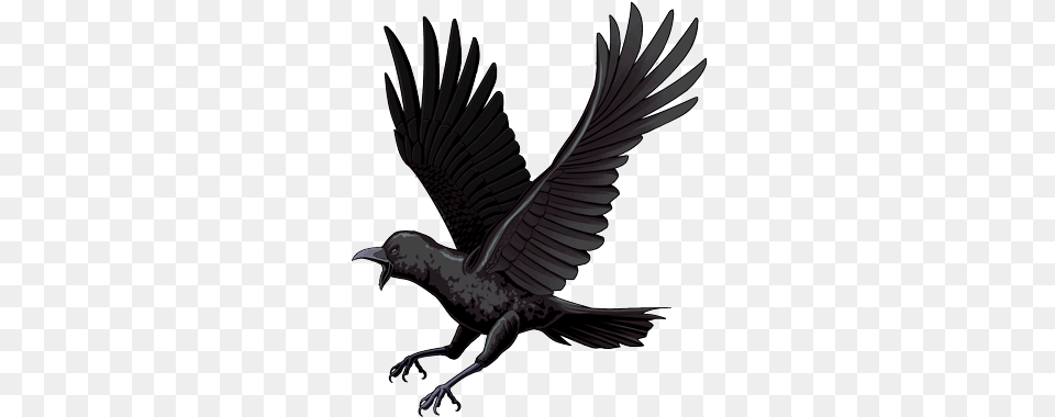 Game Of Thrones Crow Crow, Animal, Bird, Blackbird, Person Free Png Download
