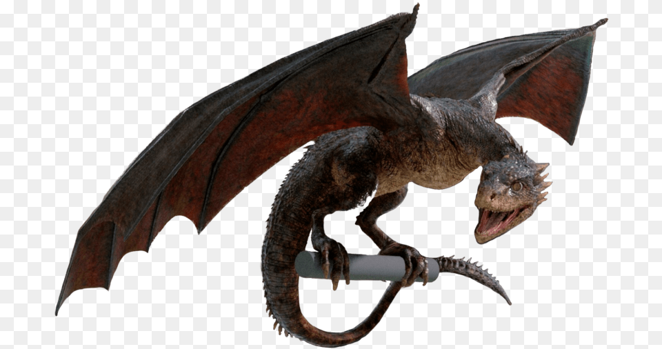 Game Of Thrones Dragon, Accessories, Animal, Lizard, Reptile Free Transparent Png