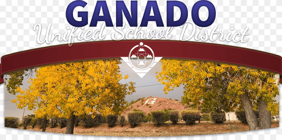 Ganado Unified School District Tree, Field, Plant, Outdoors, Nature Png