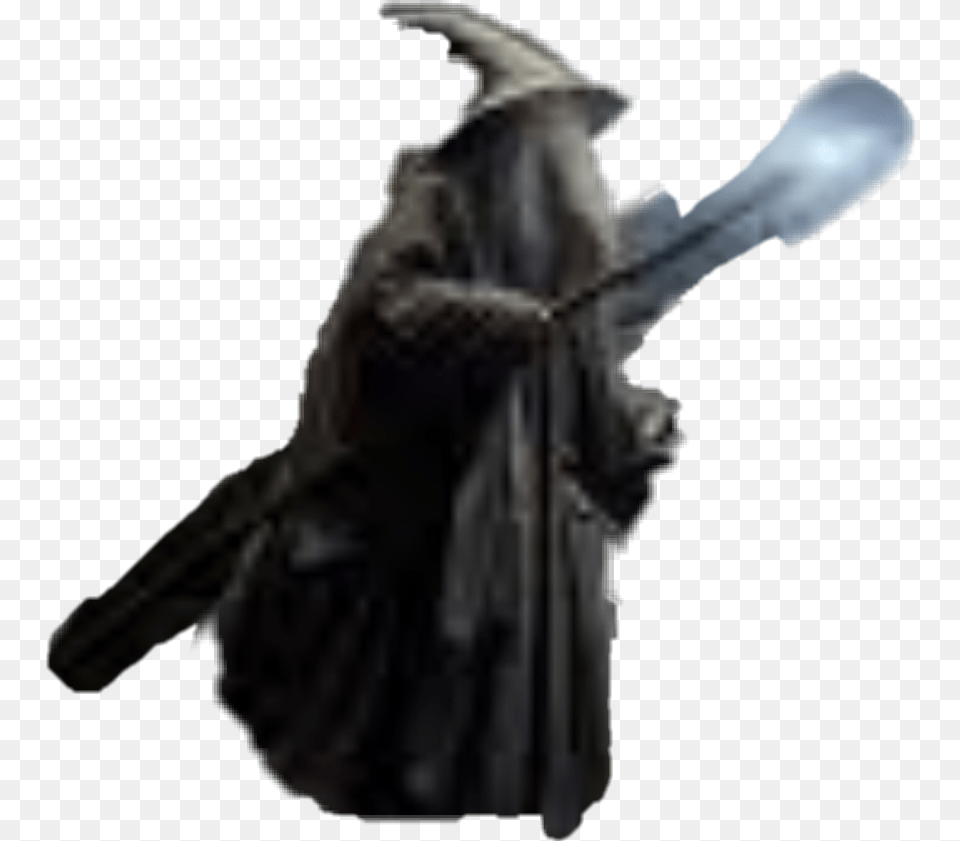 Gandalf, Animal, Cat, Mammal, Pet Free Transparent Png