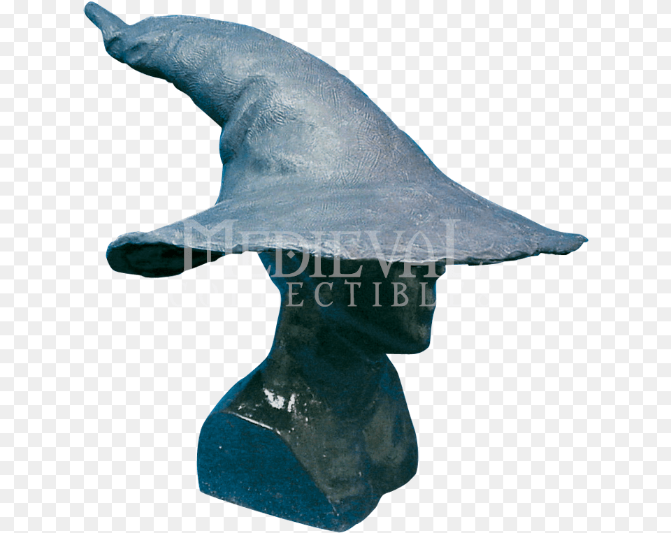 Gandalf Hat Transparent, Animal, Fish, Sea Life, Shark Free Png Download