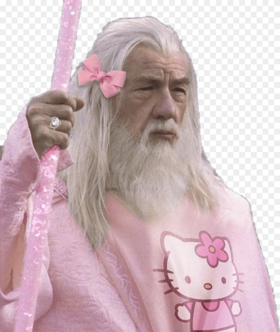 Gandalf Hello Kitty, Face, Head, Person, Adult Png