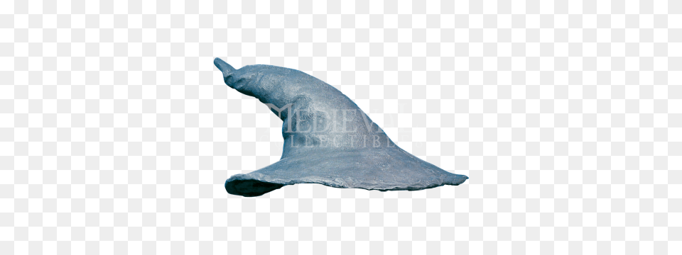 Gandalf Animal, Sea Life, Fish, Shark Png Image