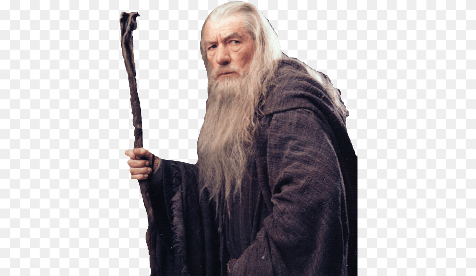 Gandalf Transparent Lord Of The Rings, Face, Head, Person, Adult Free Png