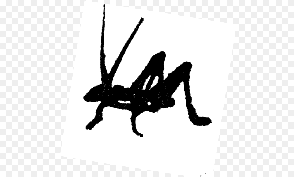 Gander Exo Cricket2x Illustration, Animal, Invertebrate, Spider Free Png