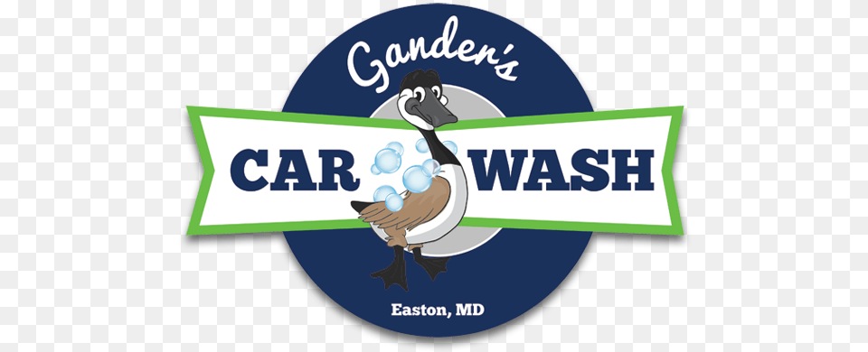 Ganders Car Wash, Animal, Bird, Goose, Waterfowl Free Transparent Png
