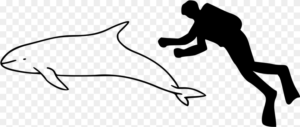 Ganges River Dolphin Outline Image With No South Asian River Dolphin Outline, Gray Png