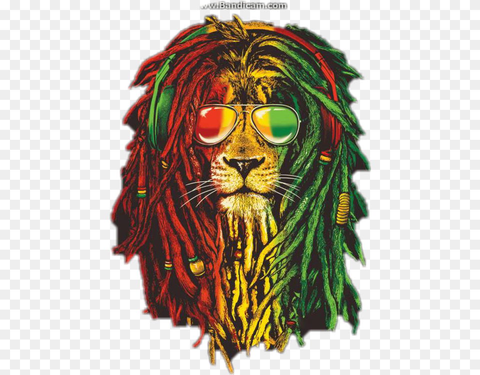 Ganja Rastafari Wallpaper Hd, Mammal, Wildlife, Animal, Lion Free Transparent Png