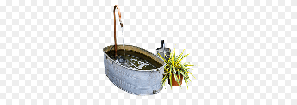 Garden Tub, Water, Potted Plant, Plant Free Transparent Png