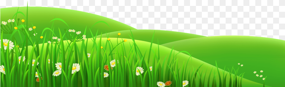 Garden, Green, Field, Plant, Outdoors Free Png Download