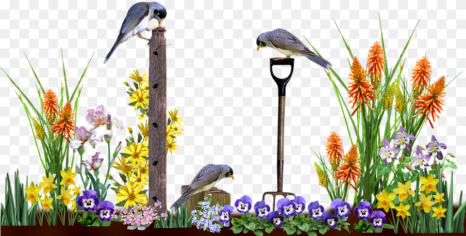 Garden, Flower, Flower Arrangement, Plant, Animal Free Transparent Png