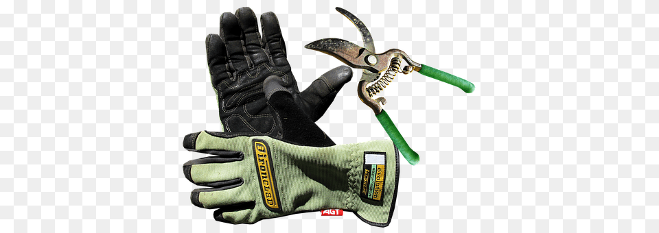 Garden Baseball, Baseball Glove, Clothing, Glove Free Png