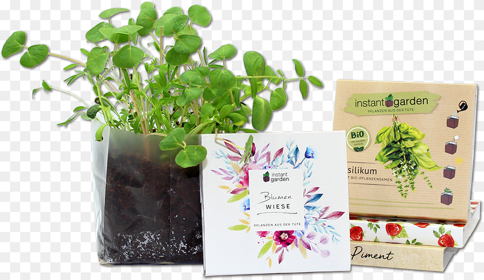 Garden, Herbal, Herbs, Plant, Potted Plant Png Image