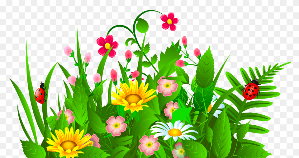 Garden, Plant, Pattern, Graphics, Flower Png Image