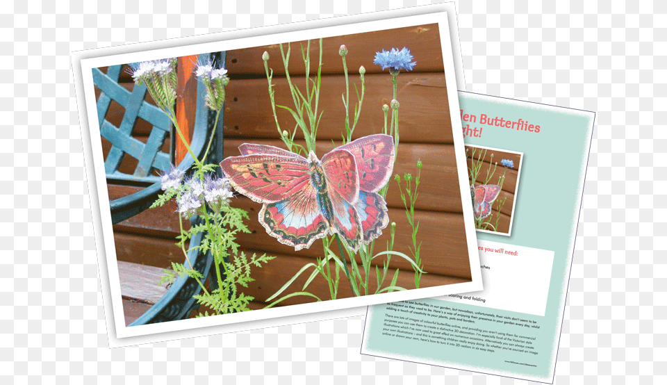Garden 3d Butterfly Garden 3d Butterfly Vintage Butterfly Oval Car Magnet, Advertisement, Poster, Herbal, Herbs Free Png