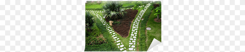 Garden, Backyard, Walkway, Plant, Path Png Image