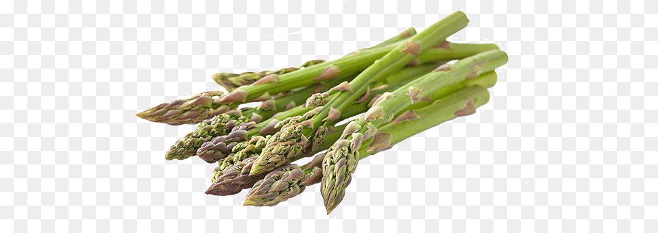 Garden Asparagus, Food, Plant, Produce, Vegetable Free Png Download