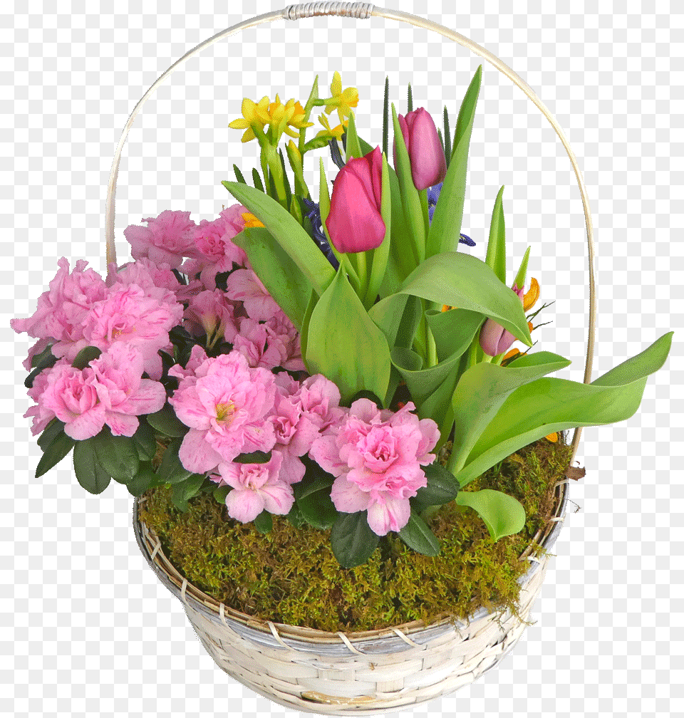 Garden Bouquet, Flower, Flower Arrangement, Flower Bouquet, Plant Free Png