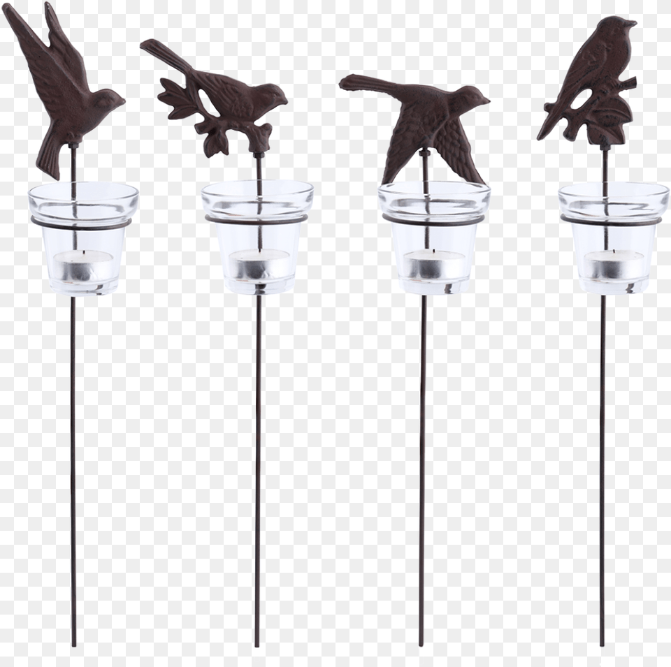 Garden Candle Light Birds Ass Magpie, Lighting, Lamp, Animal, Bird Png