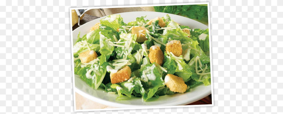 Garden Chicken Caesar Salad, Dining Table, Furniture, Table, Food Free Png