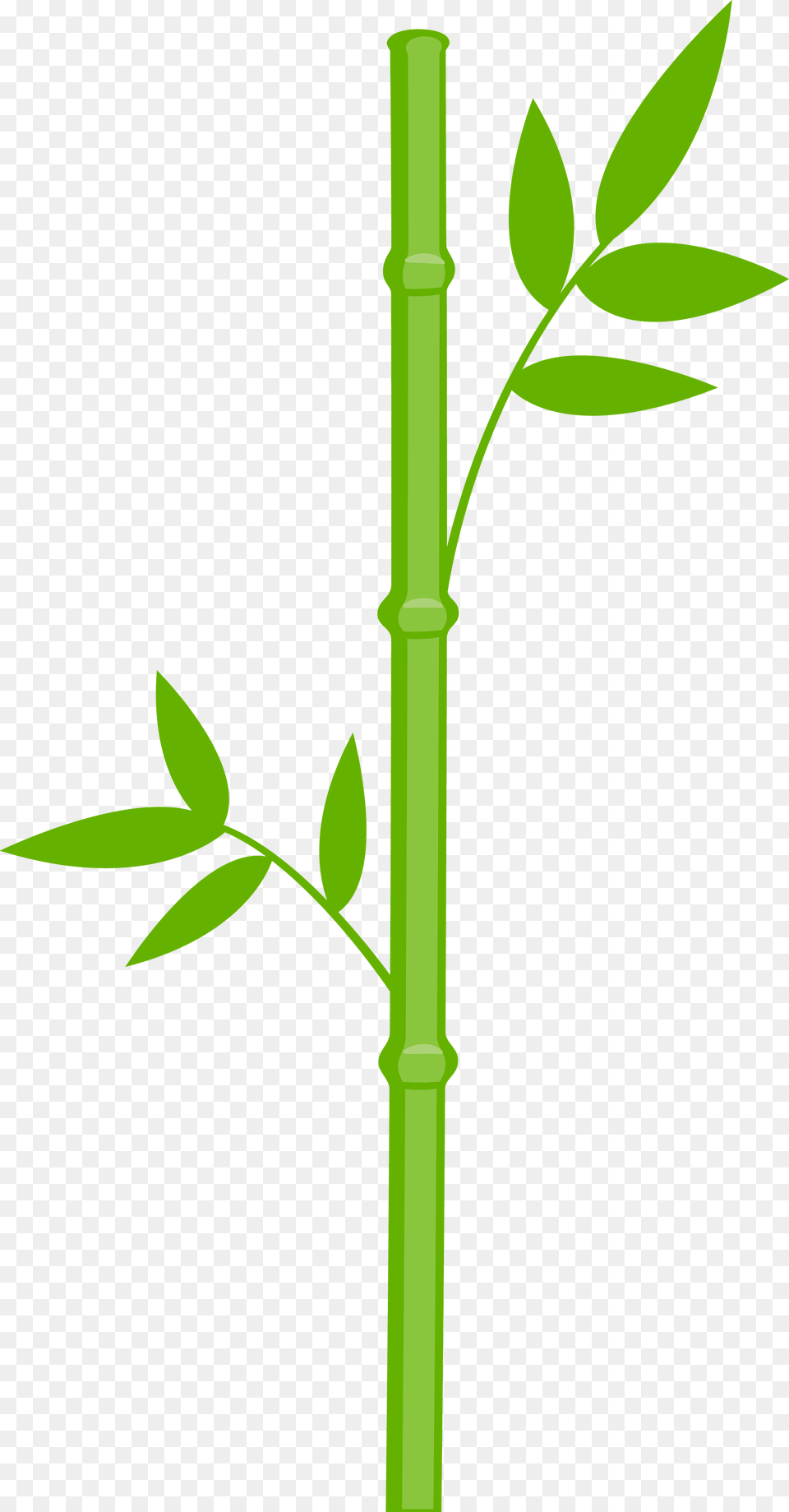 Garden Clip Art Panda Clip Art, Bamboo, Plant, Cross, Symbol Png