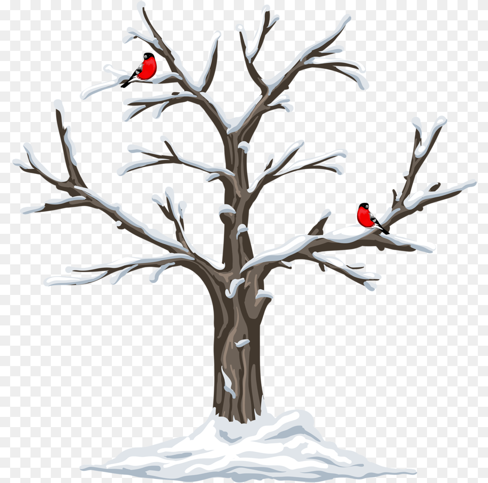 Garden Clipart Weather Seasons Clip Art Christmas Cardinal In Tree Clipart, Plant, Chandelier, Lamp Png Image