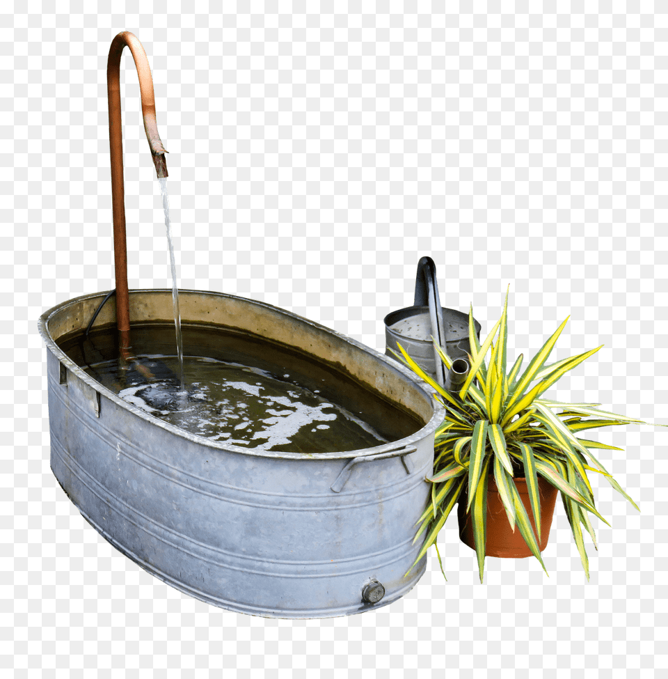 Garden Decoration, Plant, Water, Sink, Sink Faucet Png Image