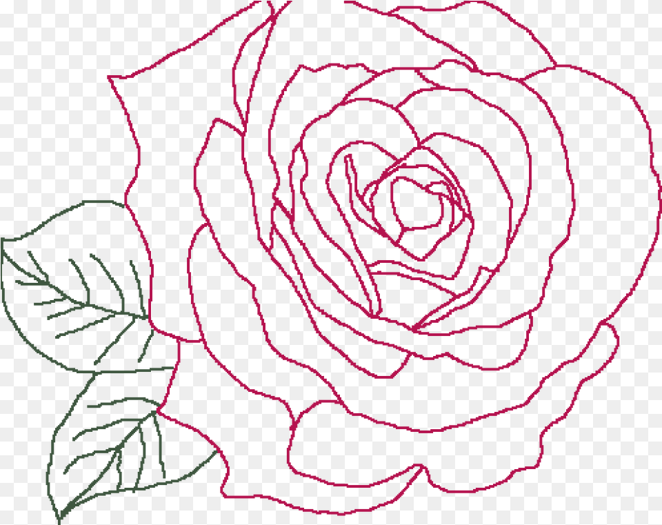 Garden Drawing Dead Flower Floribunda, Plant, Rose, Pattern, Person Png