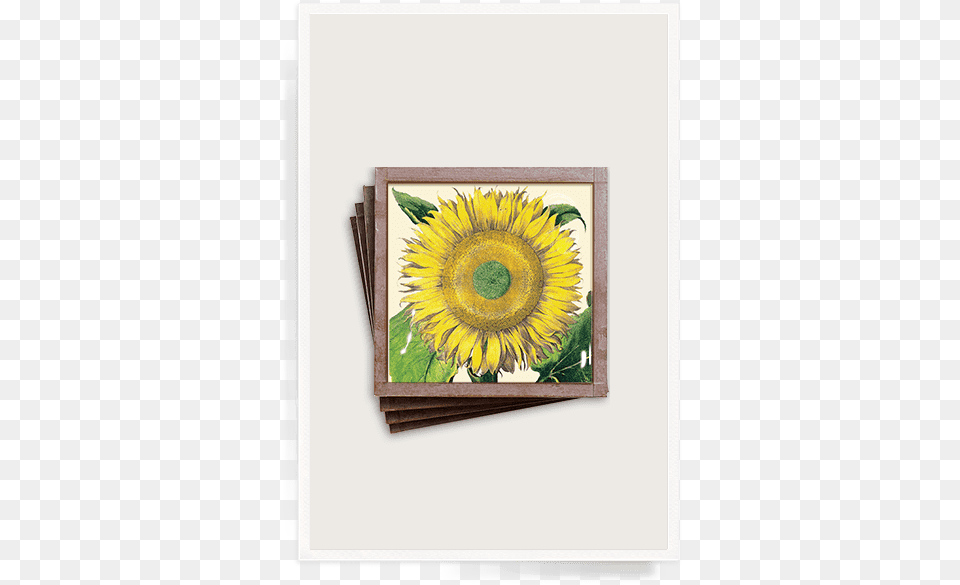 Garden Flower Garden Tear Off Weekly 2014, Plant, Sunflower, Canvas, Art Free Png Download