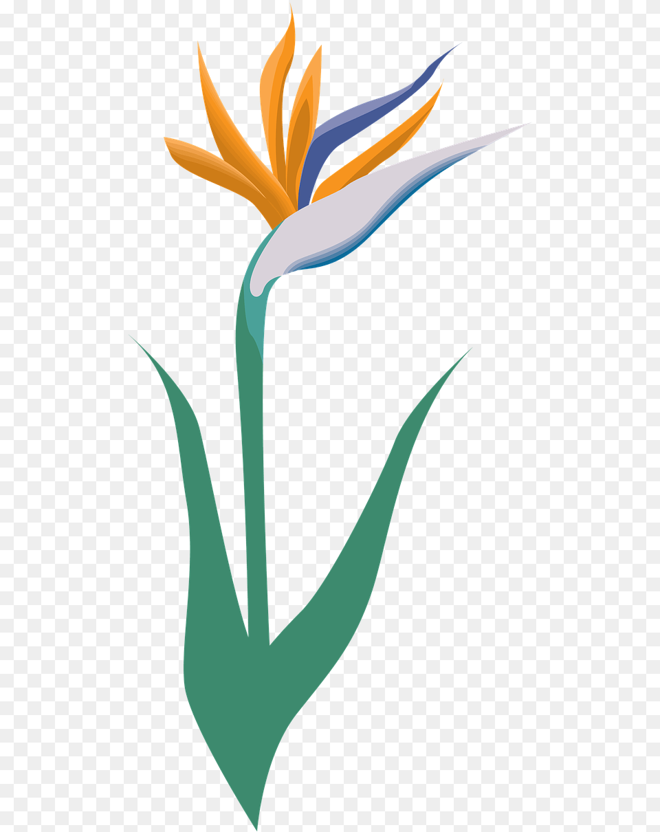 Garden Flower Icon Symbol Blossom Logo Vectorial Y Mapa De Bits, Plant, Animal, Fish, Sea Life Free Transparent Png