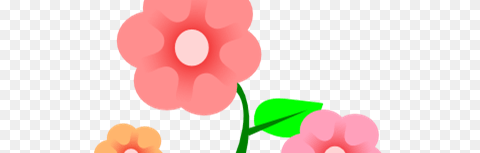 Garden Flowers Clip Art Many Flowers, Anemone, Flower, Petal, Plant Free Png Download