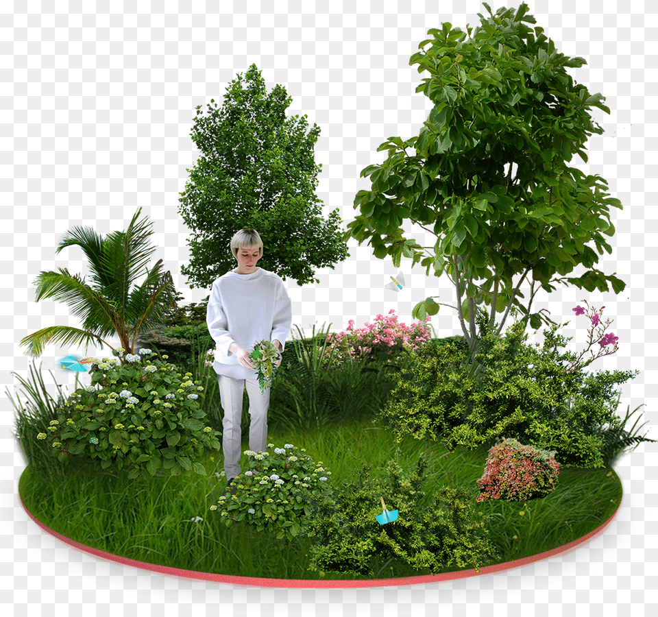 Garden For Download Transparent Background Small Tree, Vegetation, Outdoors, Long Sleeve, Plant Free Png