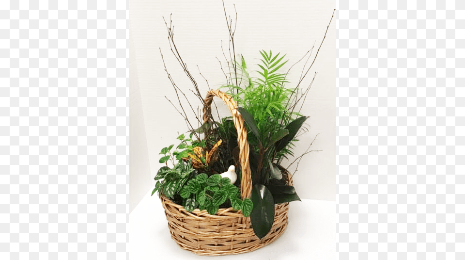 Garden Grass, Flower, Flower Arrangement, Plant, Basket Free Transparent Png