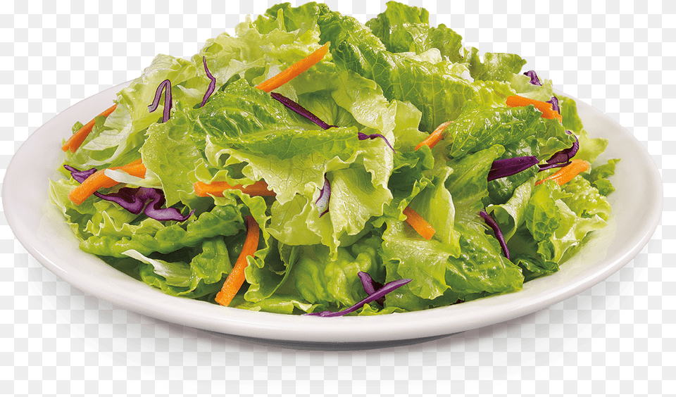 Garden Green Salad, Food, Lettuce, Plant, Produce Png Image