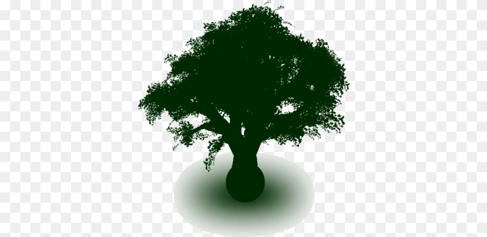 Garden Icon Hd Stickers Vectors Tree, Oak, Plant, Potted Plant, Sycamore Free Png