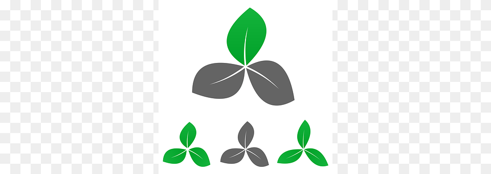 Garden Logo Herbal, Herbs, Leaf, Plant Free Png Download