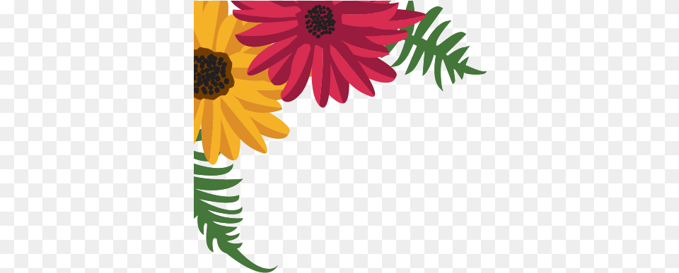 Garden Party African Daisy, Art, Plant, Petal, Pattern Png Image