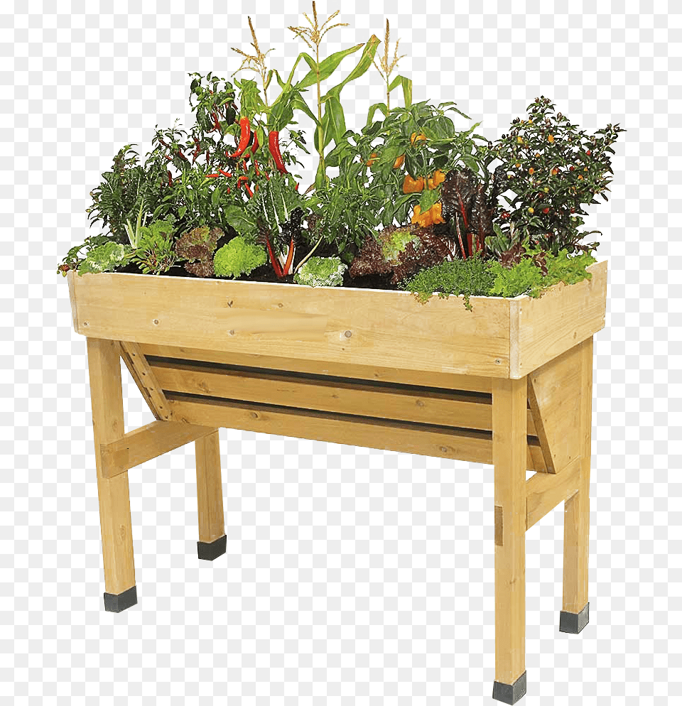 Garden Planter Displaying Plants No Background Images Vegtrug Wall Hugger, Jar, Plant, Potted Plant, Pottery Free Png