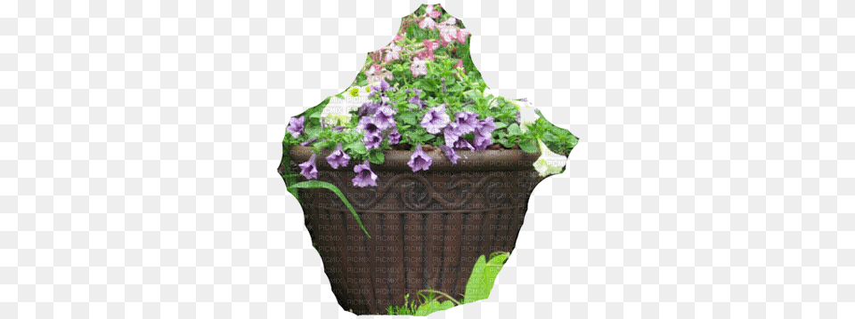 Garden Pot7 14 125 Pansy, Planter, Plant, Vase, Flower Free Png